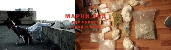 сатива Армянск