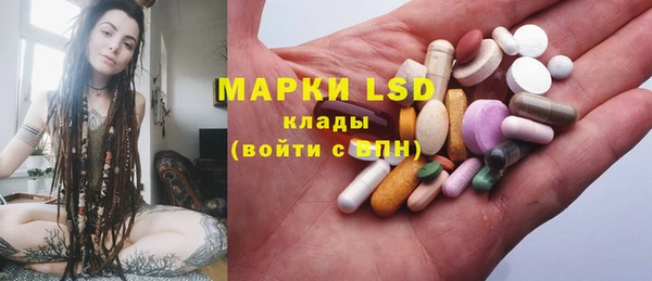 сатива Армянск