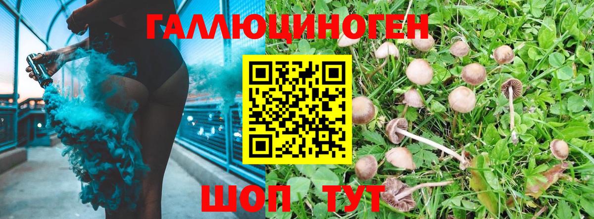 Псилоцибиновые грибы GOLDEN TEACHER  наркотики  Балтийск  Вход с VPN 