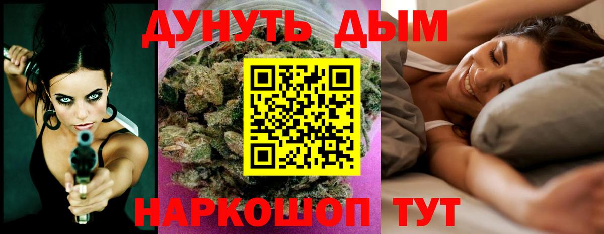 Каннабис планчик Балтийск
